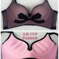 2019 New Women Sexy Underwear Set Seamless Push Up Bra Set Wire Free Lace Adjusted Underwear Female Lingerie Set32830635959