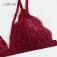 COLROVIE Burgundy Solid Sexy Floral Lace Lingerie Set 2019 New Women Bra And Brief Sets Wireless Sexy Underwear Bra Set32919711939