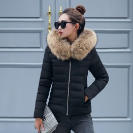 Female Coat Autumn With Fur Collar Hooded Cotton Padded Winter Jacket Women Short Outwear Basic Jacket 